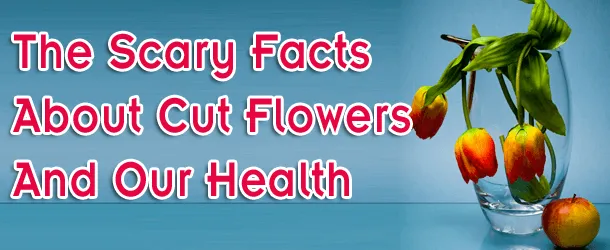 The Scary Facts About Cut Flowers and Our Health