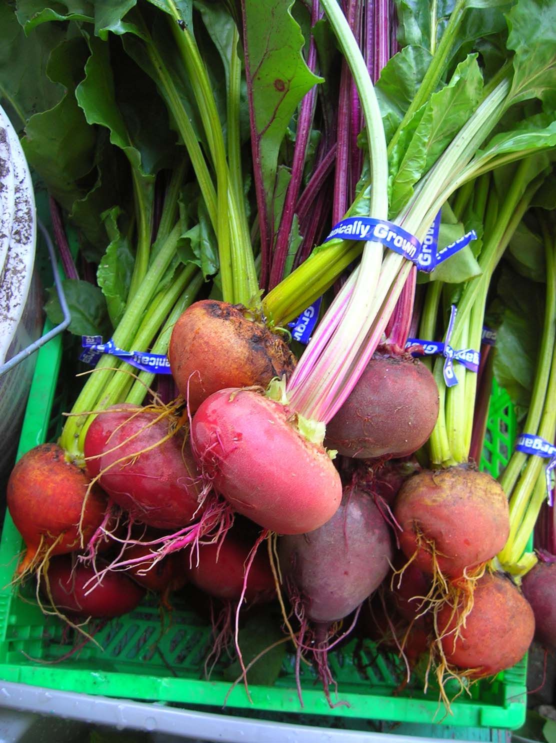 beets