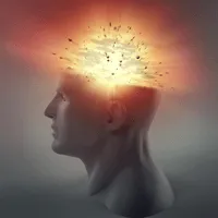 Is Your Brain Shrinking? 10 Ways to Amp Up Your Gray Matter