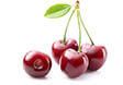 Sweet ripe cherry