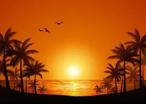sunset