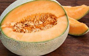 cantaloupe