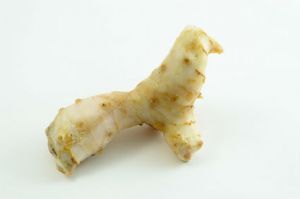 Galangal ginger