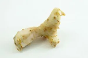 Galangal ginger