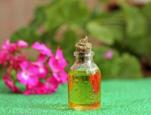 Geranium oil in glass bottle