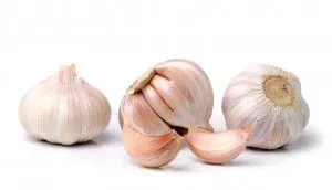 Garlic