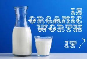 milk