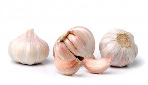 Garlic isolated on white background