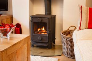 Wood burning stove