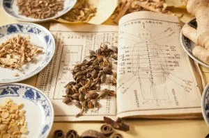Chinese herbs