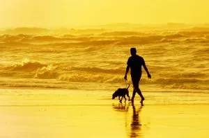 person walking the dog on beach
