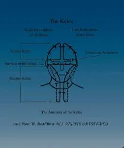 Anatomy of the Kelee