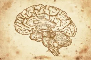 cursory drawing brain on old paper background