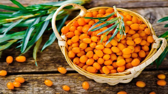 berries of an organic sea-buckthorn in a basket