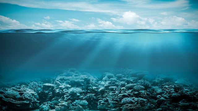 Sea or ocean underwater deep nature background