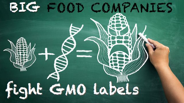 gmo concept