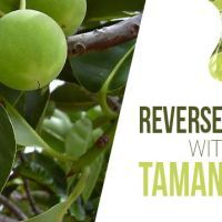 ReverseAgingwithTamanuOil-_640x359