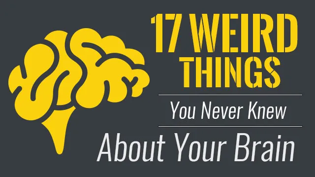 17WeirdThingsYouNeverKnewAboutYourBrain_640x359