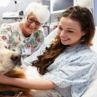 Therapy Dog Visiting Young Female Patient In Hospital