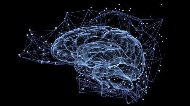 Brain activity
