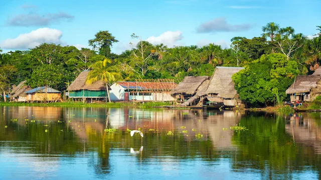 Amazon Jungle Village