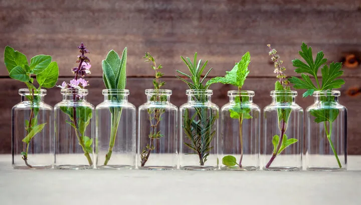 essential-oils