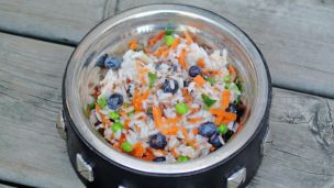 Why You Should Switch Your Dog’s Diet To ‘Human Food’