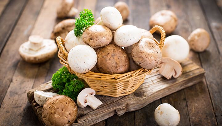 Mushrooms For Blood Pressure