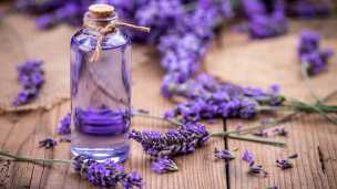 5 Reasons To Put Essential Oils On The Soles Of Your Feet