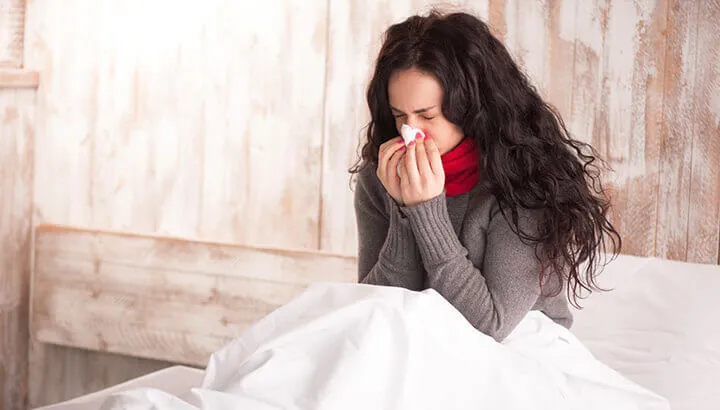 Boldo tea can help boost immunity