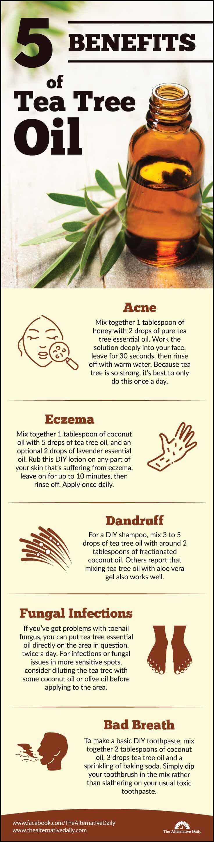 Benefits of tea tree oil