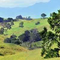 Lord of the Rings can transport you to another place, from the Shire to Rivendell and more