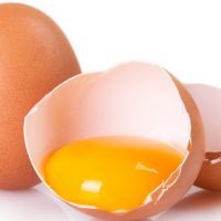 Raw eggs on white background