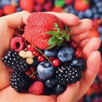 Woman hands holding organic fresh berries against the background of strawberry, blueberry, blackberries, currant, mint leaves. Top view. Summer food. Vegan, vegetarian and clean eating concept.