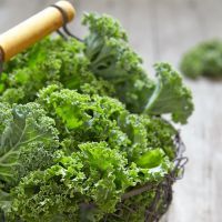 Fresh green kale leaves